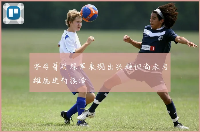 字母哥对绿军表现出兴趣但尚未与雄鹿进行接洽