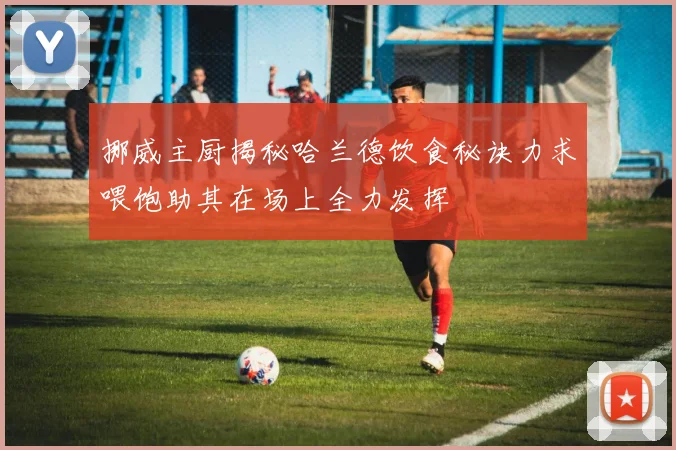 挪威主厨揭秘哈兰德饮食秘诀力求喂饱助其在场上全力发挥